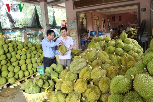 Tăng trưởng ngành nông nghiệp là điểm sáng của kinh tế Việt Nam