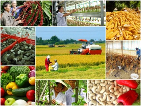 Đề xuất mới về chính sách tín dụng phát triển nông nghiệp, nông thôn