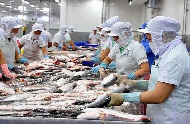 Xuất khẩu cá tra sang Anh tăng gần 70%