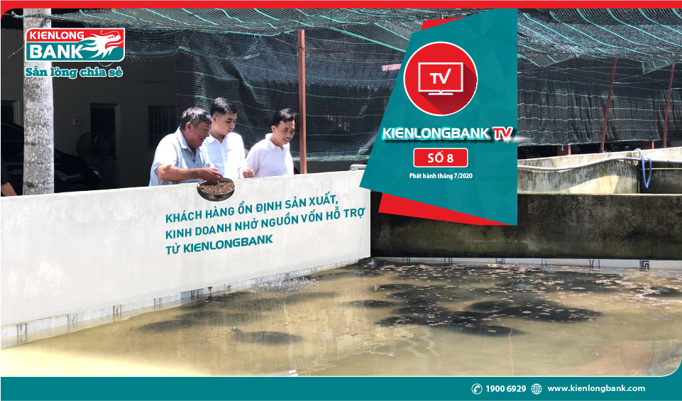 Kienlongbank newsletter TV No.8 - Customers stable in production and business by supporting capital from Kienlongbank