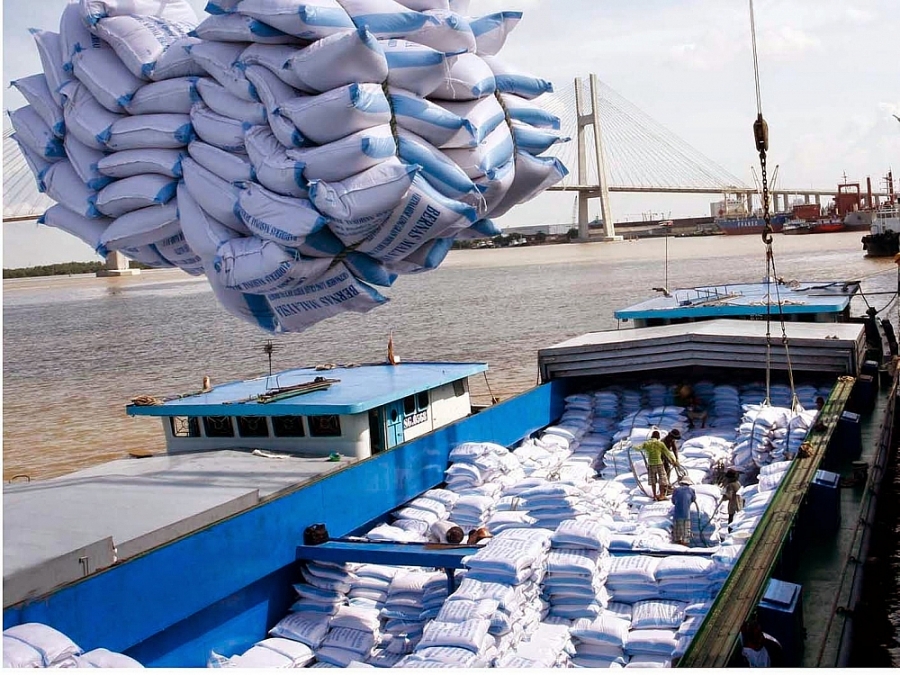 EVFTA mở cơ hội xuất khẩu gạo chất lượng cao sang EU