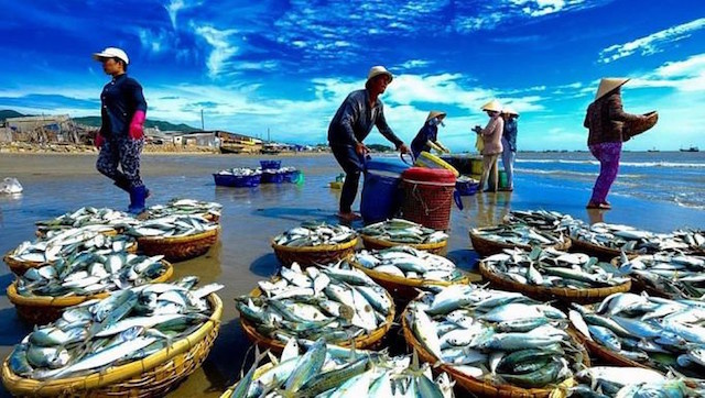 Xuất khẩu hải sản cán mốc 2 tỷ USD trong nửa đầu năm