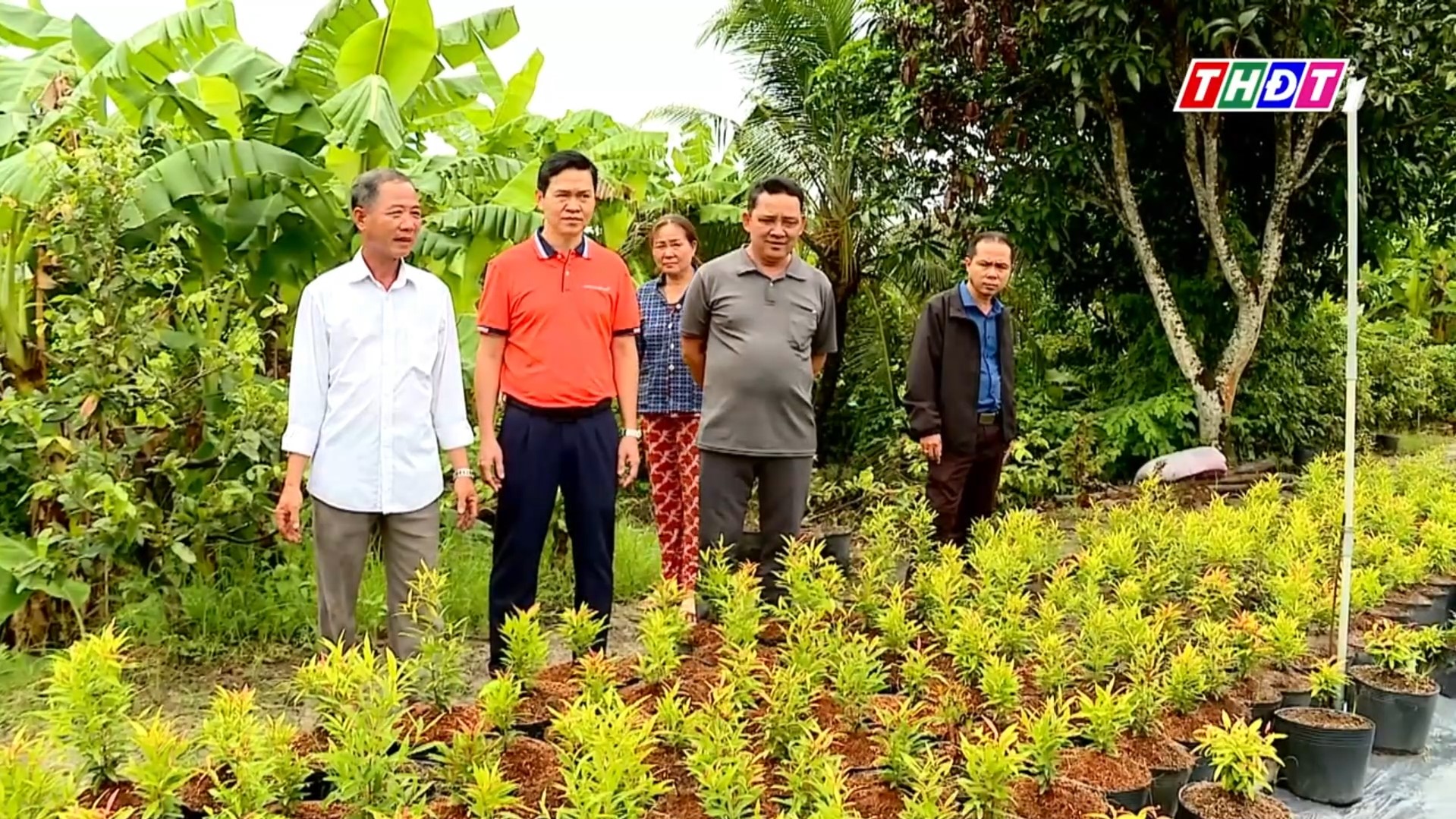 [THĐT] THÊM CƠ HỘI TIẾP CẬN VỐN CHO HỘI VIÊN HỘI NÔNG DÂN