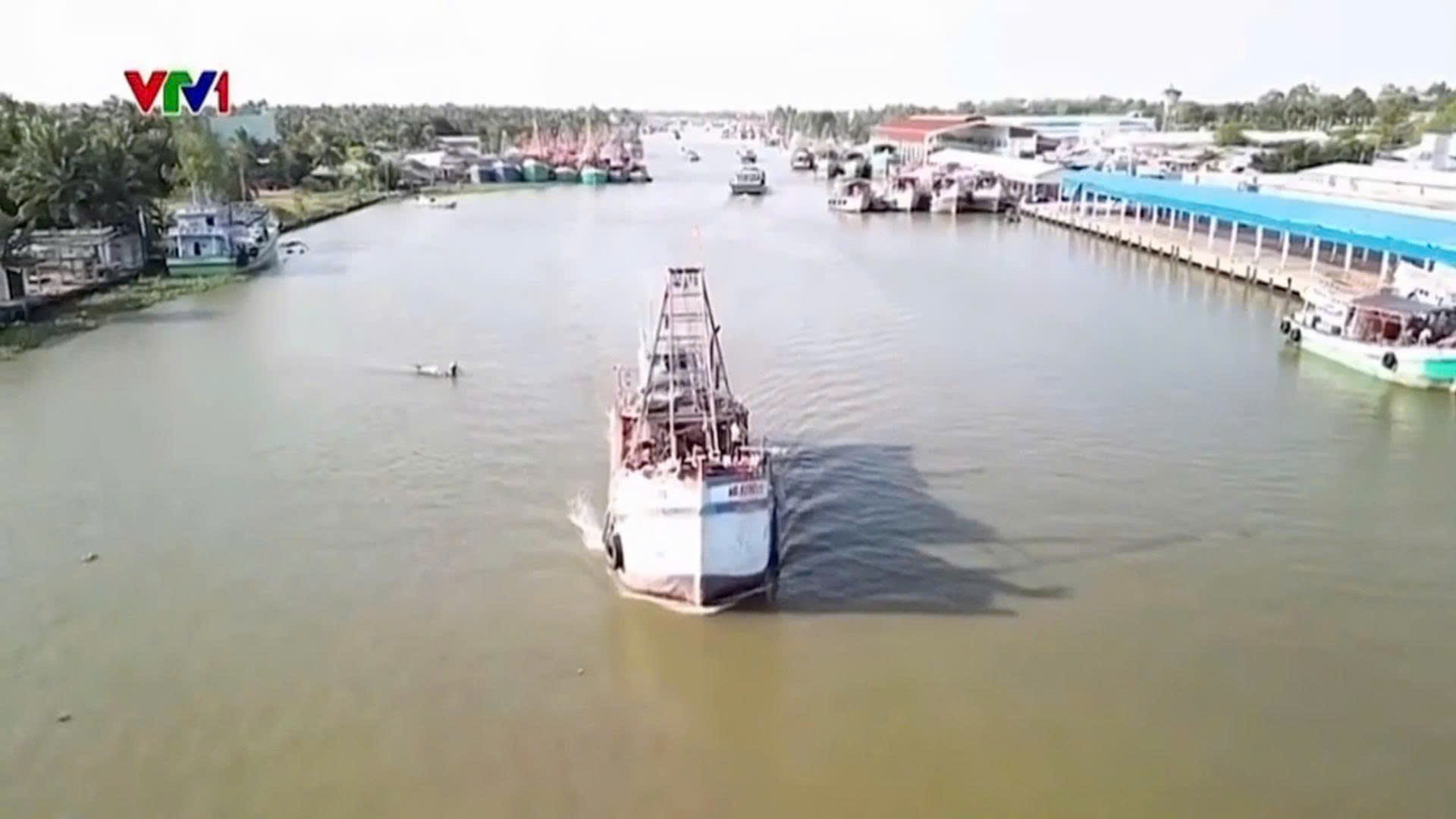 [VTV1] KIENLONGBANK ĐỒNG HÀNH CÙNG KHÁCH HÀNG TRONG PHÁT TRIỂN KINH TẾ NÔNG NGHIỆP